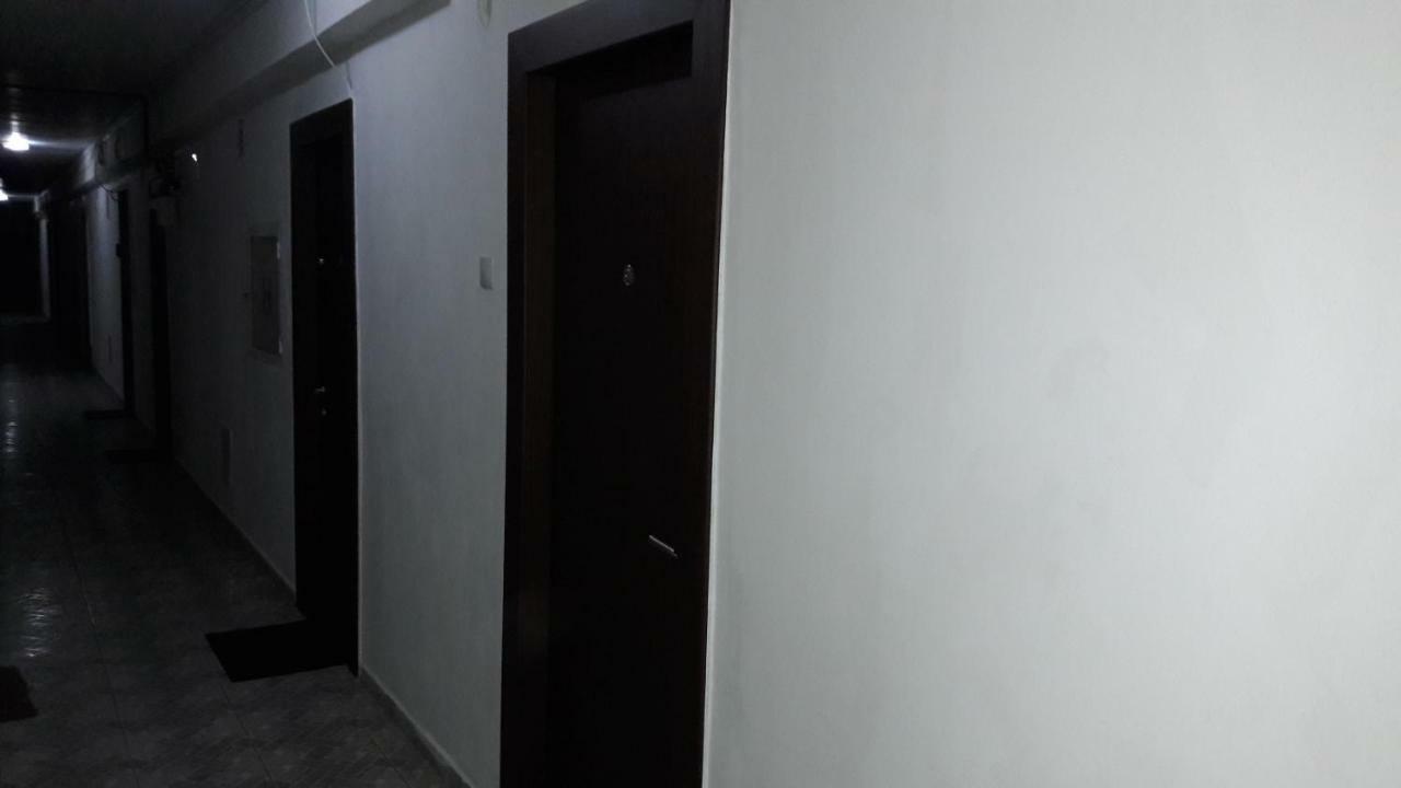 Studio Montana بويانا براسوف المظهر الخارجي الصورة